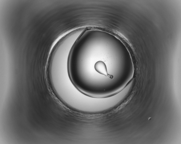 X0000086730928200704271627