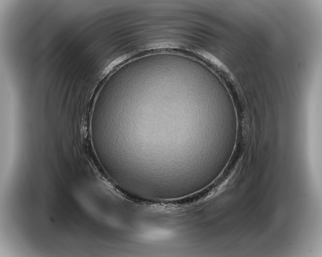 X0000086730929200704271627