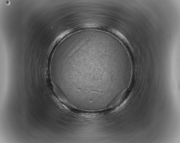 X0000086730930200704271627