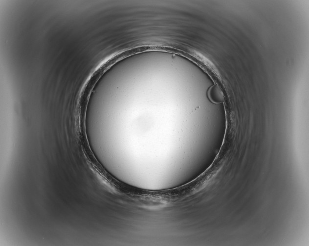 X0000086730931200704271627