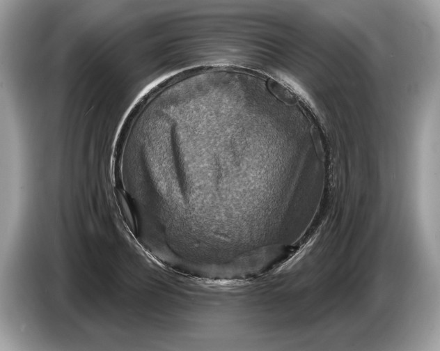 X0000086730932200704271627