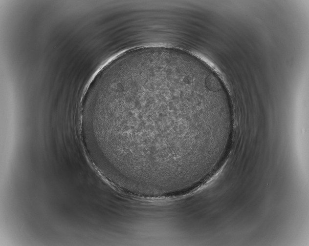 X0000086730933200704271627