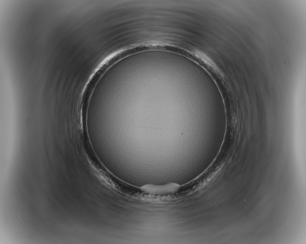 X0000086730934200704271627