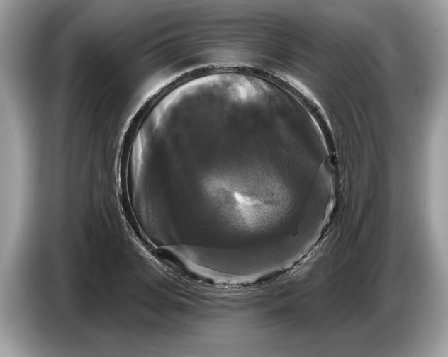 X0000086730935200704271627