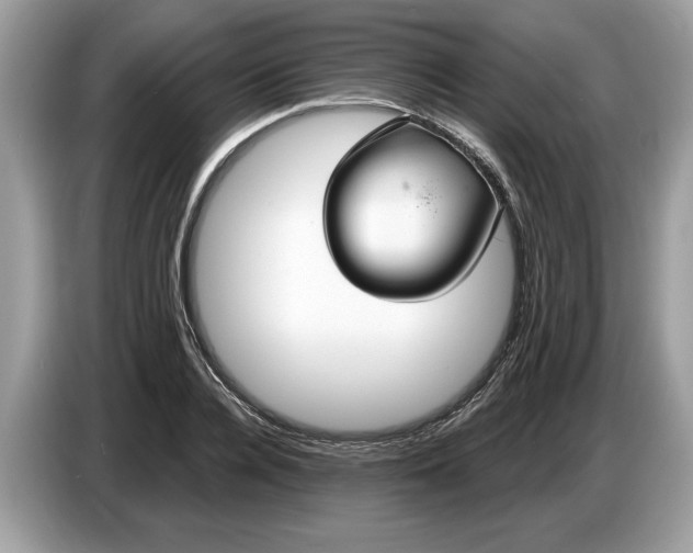 X0000086730936200704271628