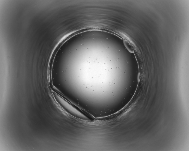 X0000086730940200704271628