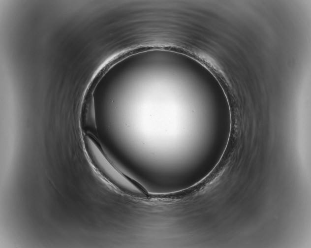 X0000086730942200704271628