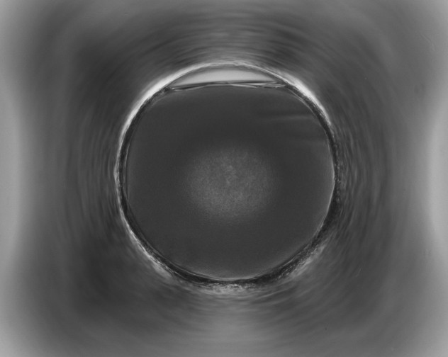 X0000086730943200704271628