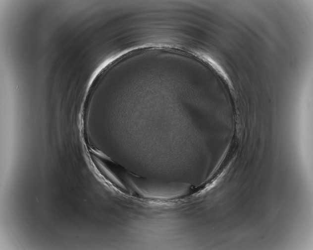 X0000086730944200704271628