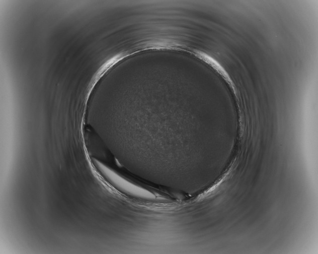 X0000086730946200704271628