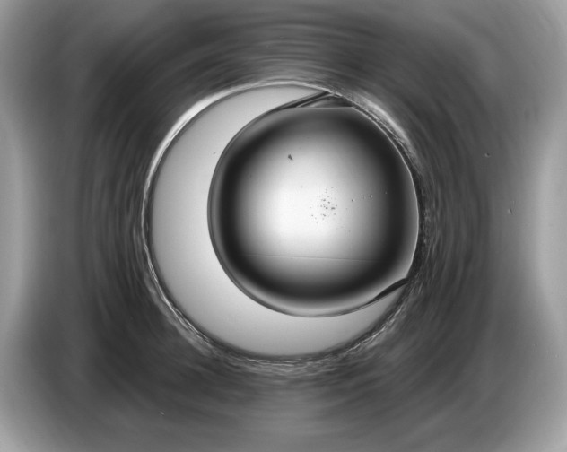 X0000086730948200704271628