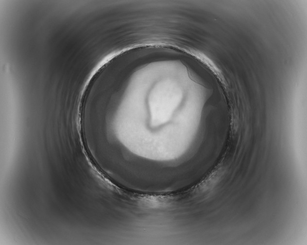 X0000086730950200704271628