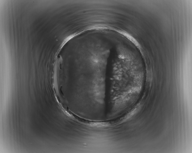 X0000086730953200704271628