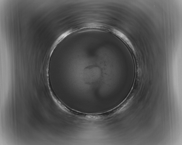 X0000086730954200704271628