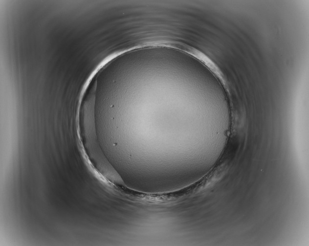 X0000086730955200704271628