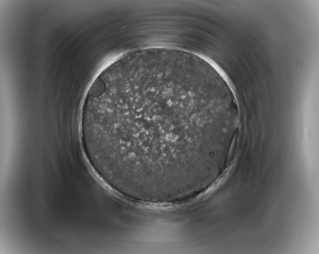 X0000086730957200704271628