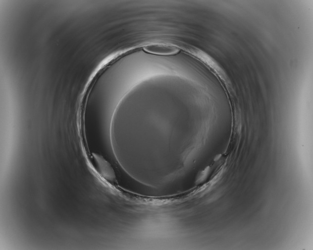 X0000086730958200704271628