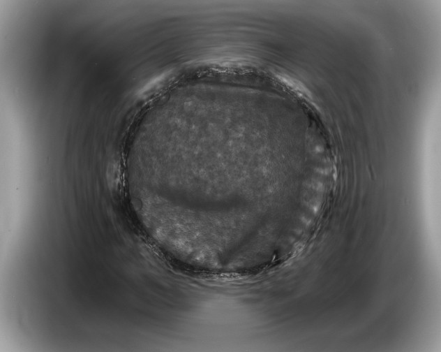 X0000086730966200704271627