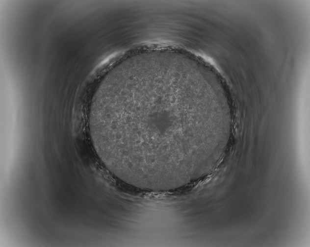 X0000086730967200704271627