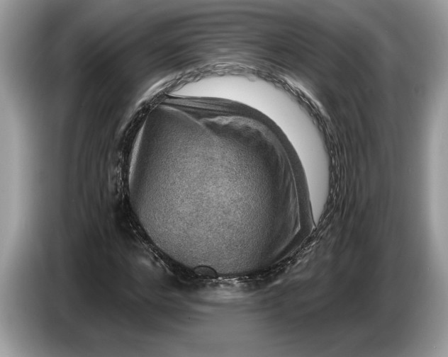 X0000086730968200704271627