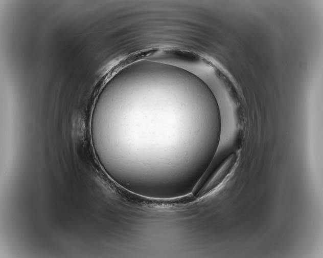 X0000086730969200704271627