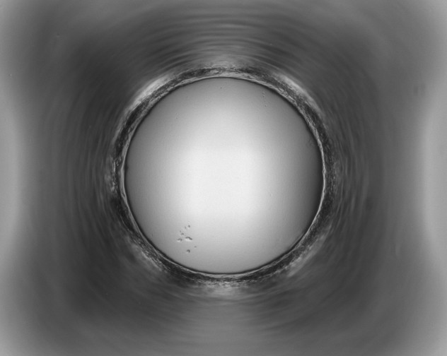 X0000086730970200704271627