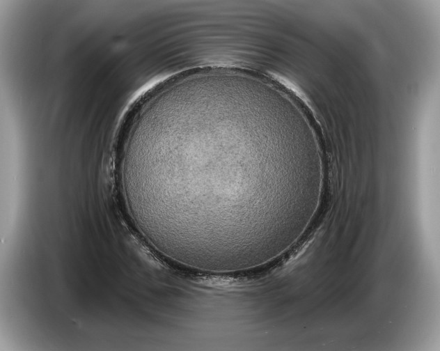 X0000086730971200704271627