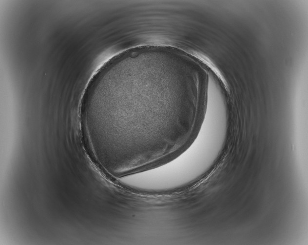 X0000086730972200704271627