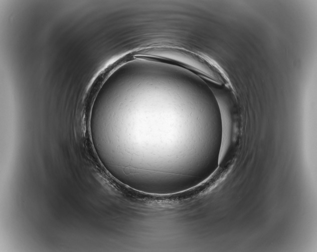 X0000086730973200704271627