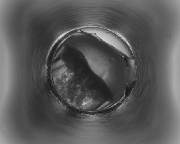 X0000086730975200704271627