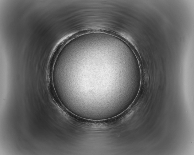 X0000086730979200704271627