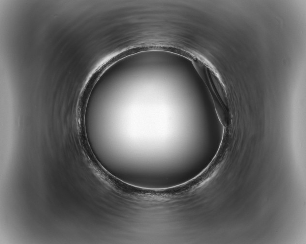 X0000086730981200704271627