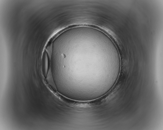 X0000086730982200704271627