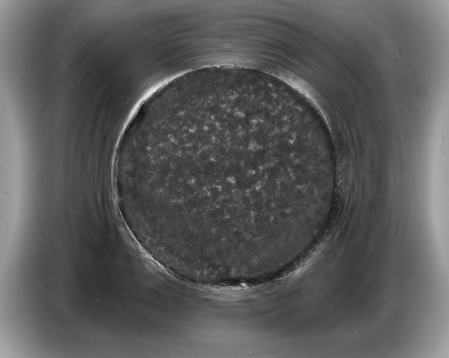 X0000086730983200704271627