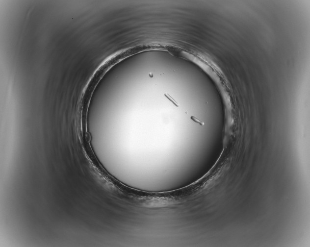 X0000086730984200704271627