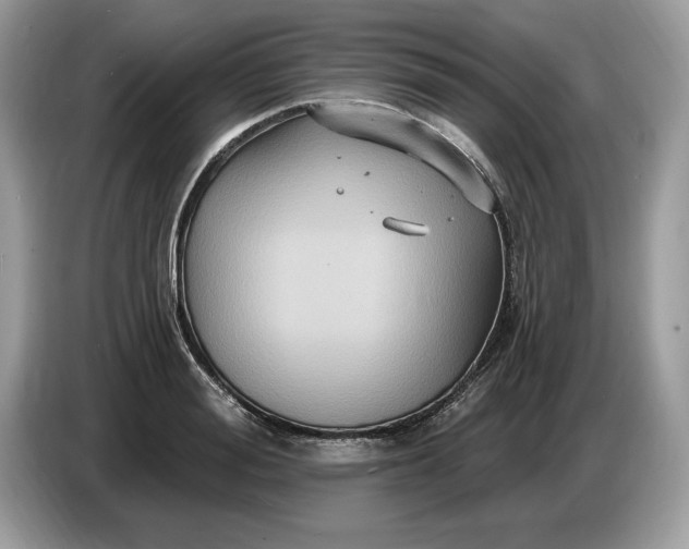 X0000086730988200704271627