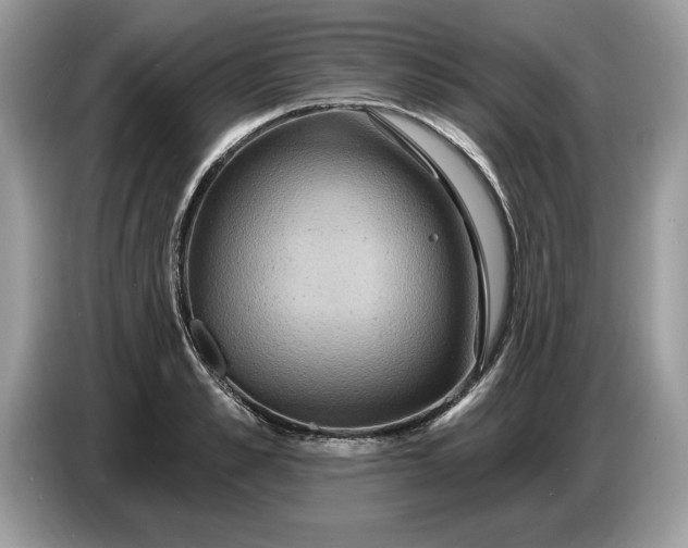 X0000086730989200704271627