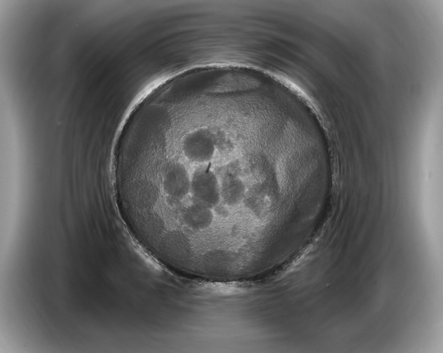 X0000086730990200704271627