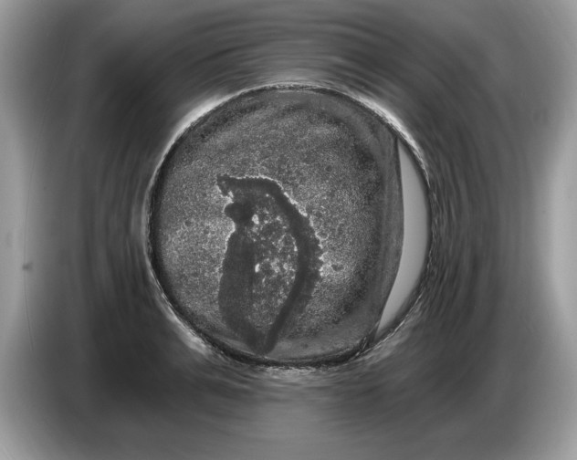 X0000086730991200704271627