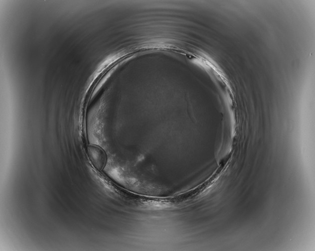 X0000086730994200704271627