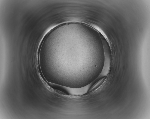 X0000086730996200704271627