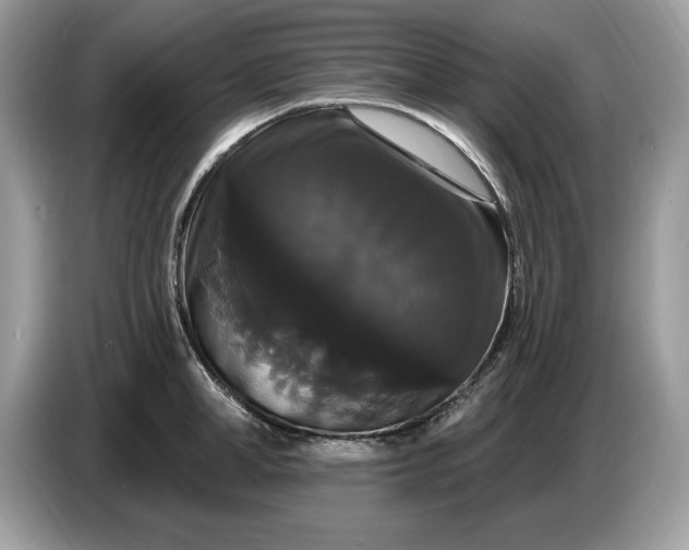 X0000086730998200704271627