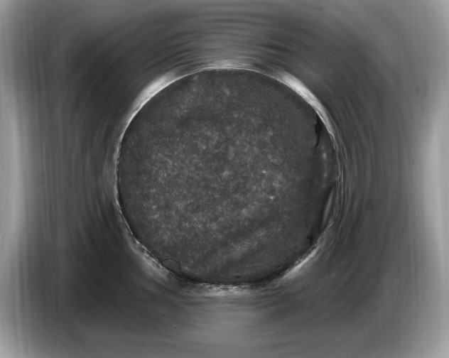 X0000086731002200704271627