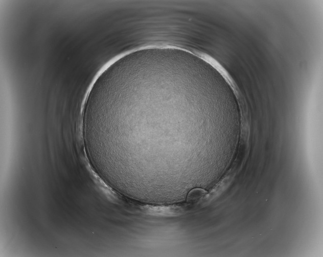 X0000086731004200704271627