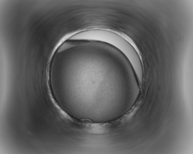 X0000086731005200704271627