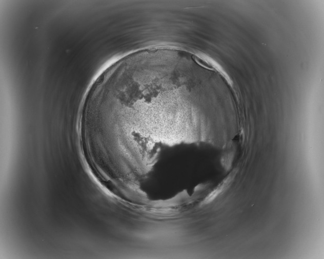 X0000086731007200704271627