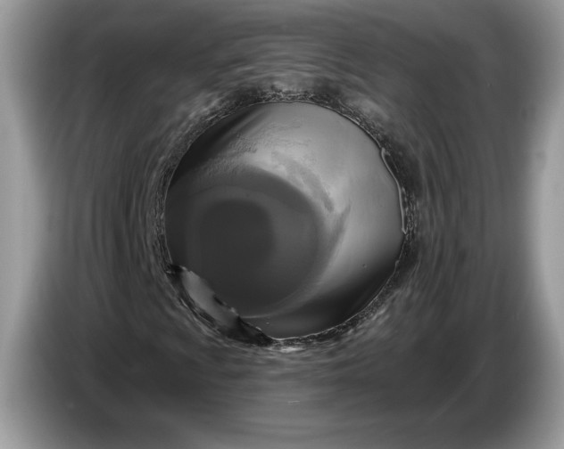 X0000086731009200704271626