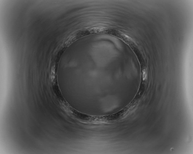 X0000086731011200704271626