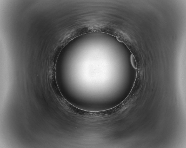 X0000086731012200704271626