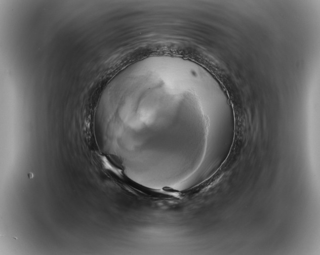 X0000086731013200704271626